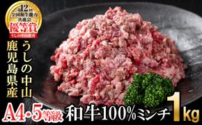 和牛100%ミンチ1kg(500g×2袋) a1-132