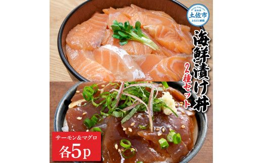 土佐の海鮮漬け丼(サーモン・まぐろ)各5袋セット 1パック60g 漬け丼 海鮮丼 マグロ丼 サーモン丼 鮪 まぐろ おかず おつまみ 惣菜 魚介類 海鮮 個包装 小分け[企業組合 宇佐もん工房] [BQAB042]