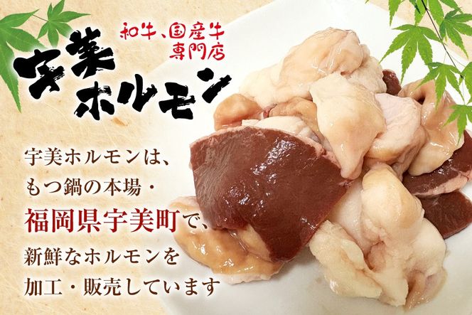 もつ鍋 福岡 もつ鍋セット 醤油 12人前 国産牛 ホルモン専門店 [宇美ホルモン 福岡県 宇美町 um40azp100000] もつ鍋ふるさと納税 国産 モツ鍋 もつなべ 牛もつ鍋 牛もつ 牛モツ 冷凍 12000 12000円 12000円以下 12000円以内