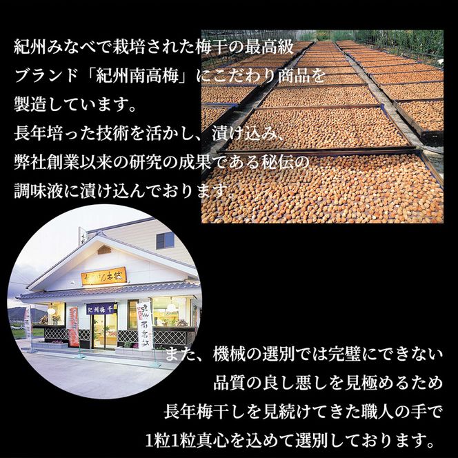 紀州南高梅　うす塩味　家庭用Ｂ級　900g_SF2024