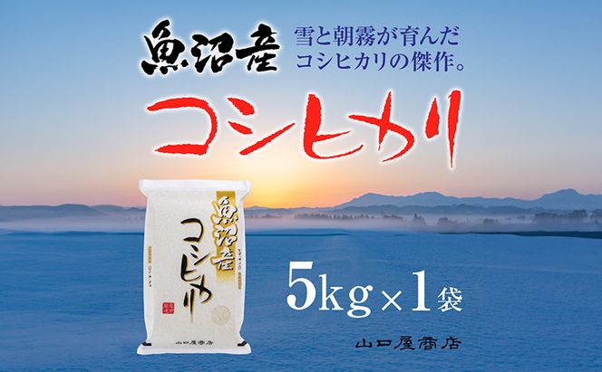 【厳選☆十日町育ち】魚沼産コシヒカリ 5kg お米 米 コメ 