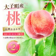 【先行予約・数量限定】大子町産「桃」約2kg 品種おまかせ（あかつき・まどか・美郷 等）｜茨城県 大子町 令和8年産 もも モモ フルーツ 果物 おまかせ 詰め合わせ 産地直送 旬 人気 厳選 奥久慈りんご園（AI007）