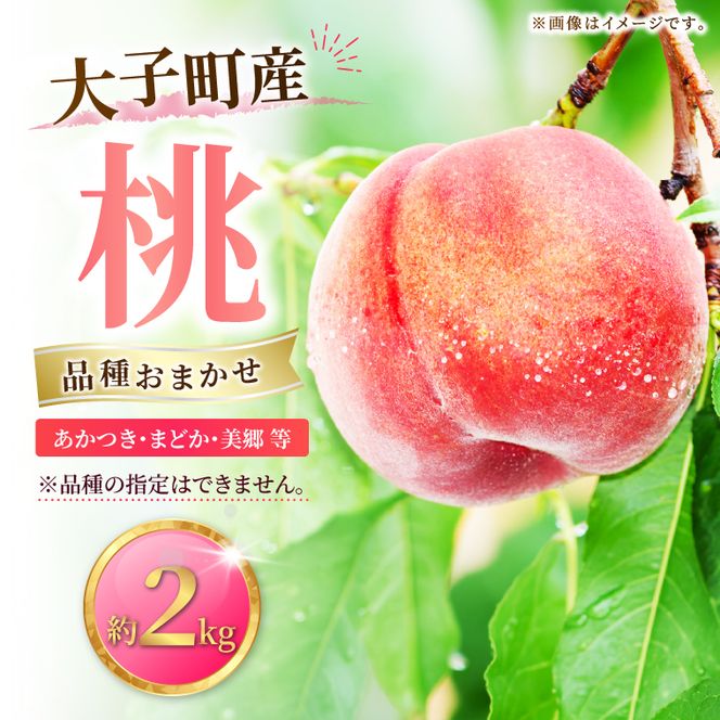 【先行予約・数量限定】大子町産「桃」約2kg 品種おまかせ（あかつき・まどか・美郷 等）｜茨城県 大子町 令和8年産 もも モモ フルーツ 果物 おまかせ 詰め合わせ 産地直送 旬 人気 厳選 奥久慈りんご園（AI007）