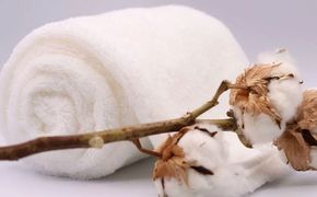 超無撚糸 タオル 【 わたのはな No.3 】 1枚 （ ホワイト ） 薄手 贅沢 感触 軽量 ギフトボックス ギフト 贈り物