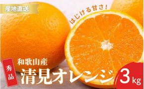 【先行予約】秀品 きよみ 清美オレンジ 和歌山 有田 S～2Lサイズ 大きさお任せ 3kg【2月上旬～3月下旬頃に順次発送】/ みかん フルーツ 果物 くだもの 蜜柑 柑橘【ktn039】