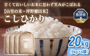 山の湧き水 寒暖差 山里 山里の米･坪野米 R8年産 こしひかり 20kg　※北海道・沖縄・離島への配送不可 ※2026年10月～発送