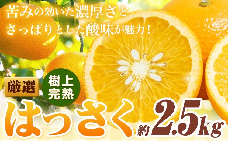 厳選 樹上完熟 はっさく 八朔 みかん 2.5kg+250g 傷み補償分 池田鹿蔵農園 @日高町[4月上旬-5月末頃出荷]和歌山県 日高町 送料無料 はっさくみかん ハッサク 厳選八朔みかん[配送不可地域あり]---wsh_idn320_4j5m_25_9000_2500g---