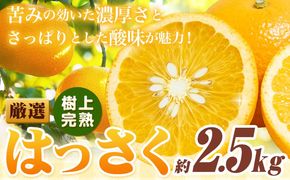 厳選 樹上完熟 はっさく 八朔 みかん 2.5kg＋250g 傷み補償分 池田鹿蔵農園 @日高町《4月上旬-5月末頃出荷》和歌山県 日高町 送料無料 はっさくみかん ハッサク 厳選八朔みかん【配送不可地域あり】---wsh_idn320_4j5m_25_9000_2500g---