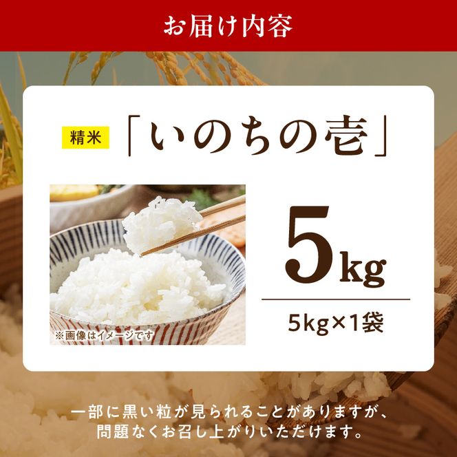 R7年産　「いのちの壱」（5kg）＜農家直送＞ ［208K09］ 希少米 5kg 米 精米 白米 ご飯 国産 産地直送 甘い 粘り強い もちもち お取り寄せ こだわり米 愛知県 小牧市 送料無料