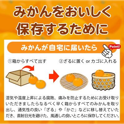 【2026年先行予約】ご家庭用　有田みかん 約7kg (2L、3Lサイズ)【湯浅町】_AT6315