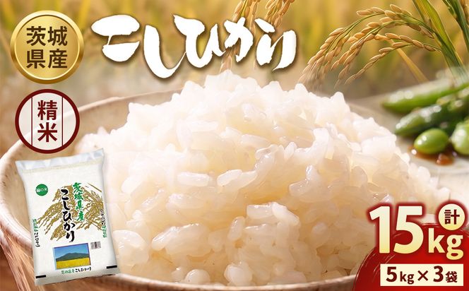 【令和8年産】茨城コシヒカリ 15kg（5kg×3袋）【精米】 | お米 米 こしひかり 茨城県産 白米 ブランド米 小分け