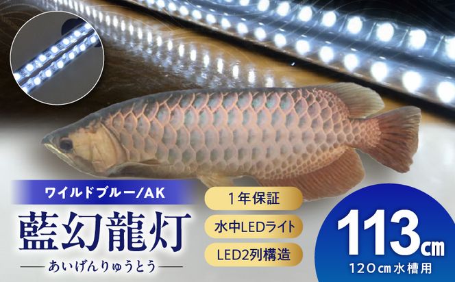 一瞬で綺麗に魅せる!金龍の青を最大限に強調する水中LEDライト|AK120-EX［172C18］金龍 専用 ワイルドブルー 青 水中 アロワナ 高輝度 水槽ライト テンニングライト LED ライト 照明 水中照明 光 綺麗 透明感 強化ガラス 吸盤 1年保証 簡単 設置 でんらい インテリア 雑貨 愛知県 小牧市 送料無料
