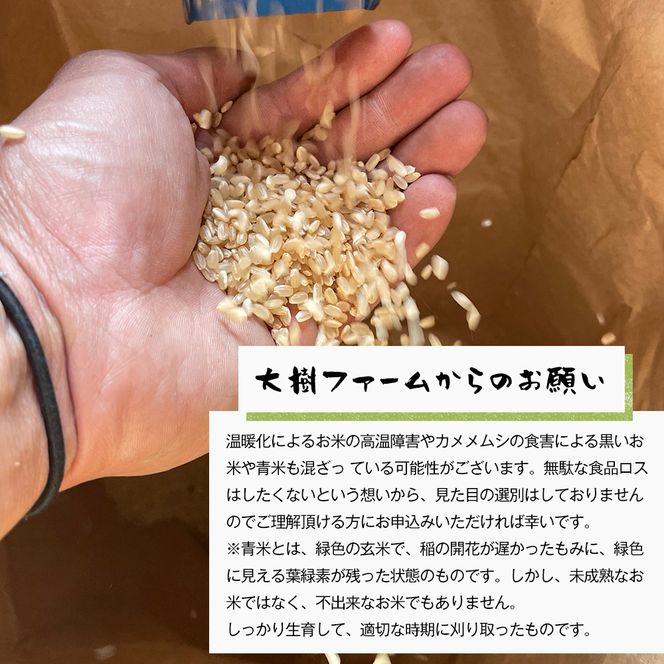 【定期便6ヶ月】自然栽培　ひのひかり（白米）　5kg