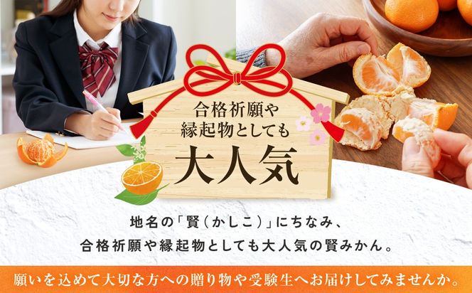 ［秀品]有田のブランド「賢みかん」10kg(Sサイズ)［2026年11月中旬頃より順次発送］ BZ011