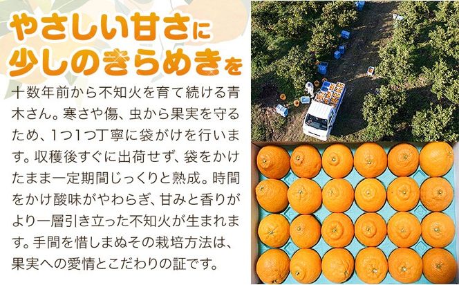 青木さんちの不知火(しらぬい)『味自慢』　1箱(18玉～24玉入り)　《2026年3月末頃出荷》　[柑橘 春 人気 フルーツ 佐那河内 さなごうち ジューシー デコポン 贈答 進物 ギフト]【配送不可地域あり】※離島不可---sanagouchi_amh_1_1hk---