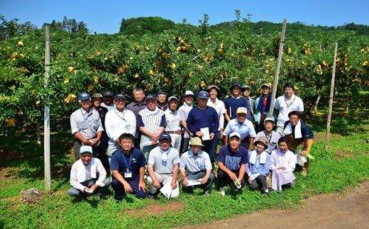 いわて花巻産 賢治の本熟 りんご（サンふじ）5kg 【801】
