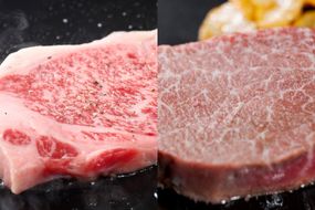 黒毛和牛（博多和牛）【A4～A5ランク】ヒレ 150g×2枚＆サーロイン 250g×2枚(計800g)【株式会社木村食品】_HA1745