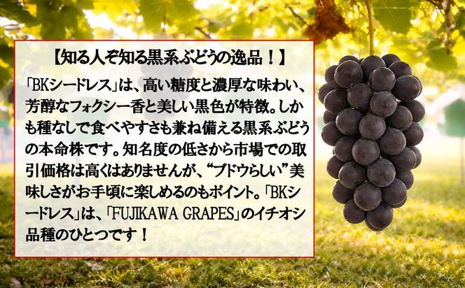 《訳あり》でも誇れる美味しさ　【BKシードレス】　1.0kg以上（3～4房）　【2026年発送分 先行予約】- FUJIKAWA GRAPES -　嬉しい満足感
