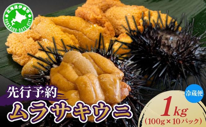 ＜先行予約＞ 北海道産 ムラサキウニ（正規品）1kg【ogm-039】生うに 塩水うに ミョウバン不使用 海鮮 国産 北海道 伊達 ふるさと納税