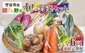 【定期便 6回】【毎月お届け】守谷市産 旬の野菜セット | 野菜 やさい 野菜セット 旬 国産 茨城県産 セット 詰め合わせ 定期 定期配送 冷蔵