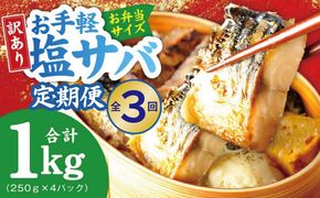099Z576 【定期便】塩さば 1kg（250g×4P）全3回【お弁当サイズ 生活応援 サバ 小分け 青魚 塩鯖 塩サバ 切身 塩焼き 焼きさば 焼き鯖 人気 冷凍 冷凍食品 おかず 惣菜 訳あり サイズ不揃い】