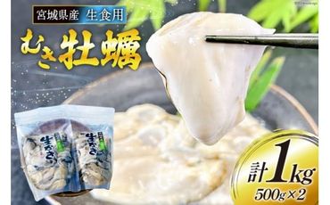 【期間限定発送】 宮城県産 むき牡蠣 生食用 500g×2p 計1kg [及新 宮城県 南三陸町 30aw0005] かき カキ 牡蠣 生牡蠣 貝 魚介類 剥き身 むき身 殻なし 冷蔵 新鮮 なべ カキフライ 牡蠣ご飯 濃厚