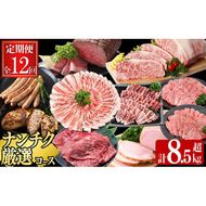 【定期便・全12回】ナンチクのお肉を楽しむ定期便！ナンチク厳選コース！ 総量8.5kg超! t0165-001