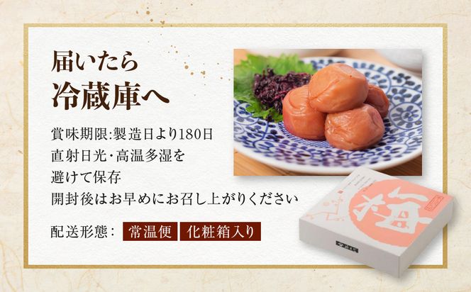 紀州南高梅 しそプレミアム塩分約6％ 500g ［YM13］ 303446_DX90016
