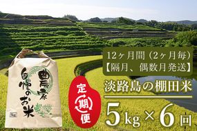 【定期便】淡路島の棚田米　5kg×6回（隔月、偶数月発送）　精米 白米