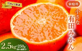 家庭用 小玉な有田みかん2.5kg+250g（傷み補償分）【わけあり・訳あり】【光センサー選果】