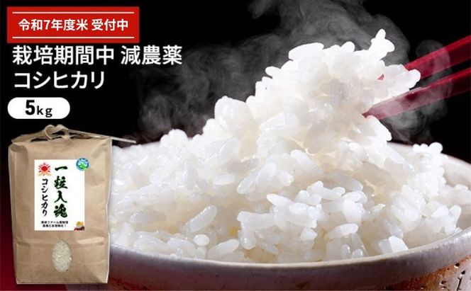 令和7年産 栽培期間中減農薬 コシヒカリ 5kg お米 精米 白米 玄米 ブランド米 銘柄米 ご飯 おにぎり お弁当 和食 産地直送 粘り 香り 旨み つや