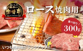 ＜宮崎牛ロース焼肉用300g＞ K01_0006_1