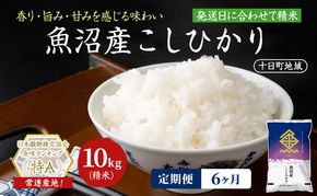 【6ヶ月定期便】魚沼産こしひかり(十日町地域) 精米 10kg(5kg×2) 米 お米 コシヒカリ 定期 十日町市