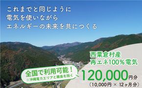 電気料金 （10,000円?12ヶ月分） 百森でんき CO2フリー 地域電力 お礼の電気 脱炭素 ゼロカーボン 岡山県 西粟倉村 【まずは寄付のお申し込みを！】e-vv-A07D