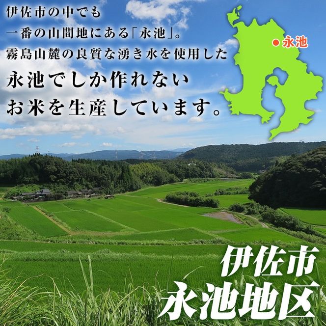 isa966 ＜先行予約受付中！2026年10月中旬から順次発送＞《数量限定》令和8年産 特別栽培米 伊佐米永池 あきの舞(10kg) 伊佐市 永池 特産品 お米 新米 米 白米 精米 伊佐米 あきの舞 10kg 【エコファーム永池】
