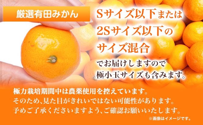 ＜先行予約＞厳選　小玉な有田みかん5kg+150g（傷み補償分）【光センサー選果】池田鹿蔵農園@日高町（池田農園株式会社）《11月上旬-12月末頃出荷》和歌山県 日高町【配送不可地域あり】---wsh_idn52_11j12m_24_13000_5kg---