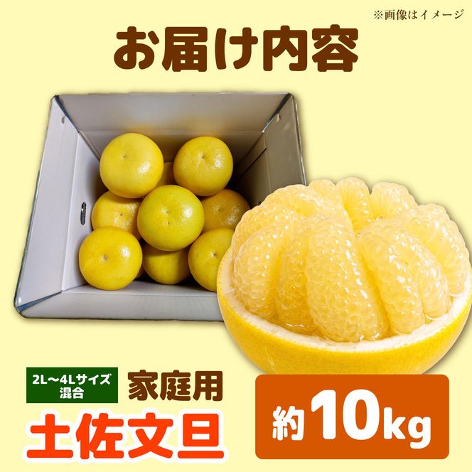 【先行予約】土佐文旦 大玉 家庭用 約10kg（2L～4Lサイズ混合：16～21玉)  数量限定 文旦 ぶんたん ブンタン 10キロ 柑橘 フルーツ 果物 ご当地 お取り寄せ 土佐 高知＜2027年1月下旬から順次発送＞【玉木農園】