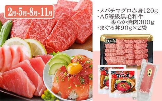 定期便3回配送　お楽しみ定期便(鹿児島県産お肉とかつお・まぐろ) EE-6015 【1491146】