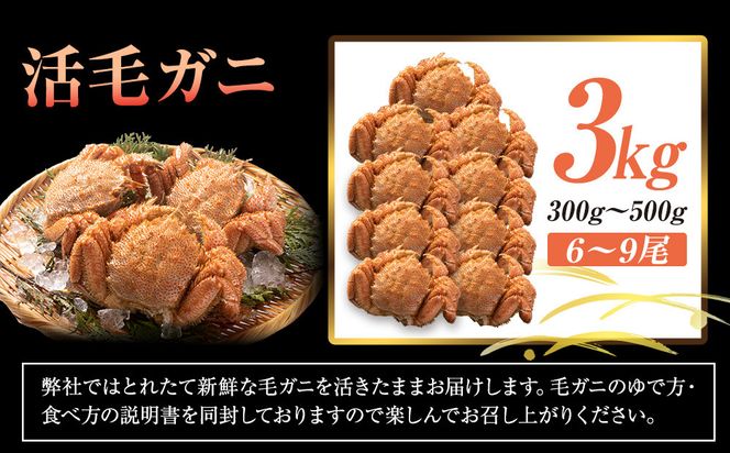  【先行予約/2026年4月発送開始】活毛ガニ　３kg　300g～500g　６～９尾 016942_AH271