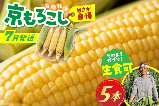 �ԗ�i�摜