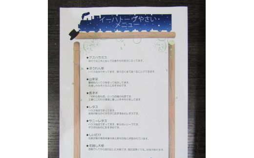 【定期便３ヶ月】イーハトーヴ野菜C もりもりセット 11品～ 詰め合わせ 【1208】