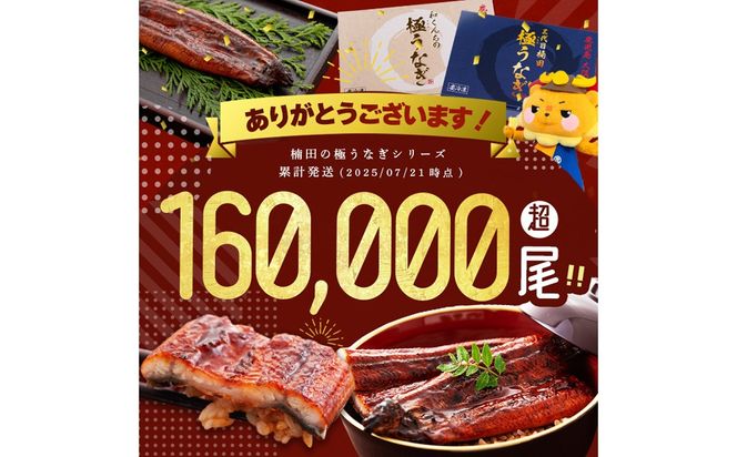 【ギフト対応】楠田の極うなぎ　蒲焼き170ｇ以上×3尾(計510ｇ以上） b2-018