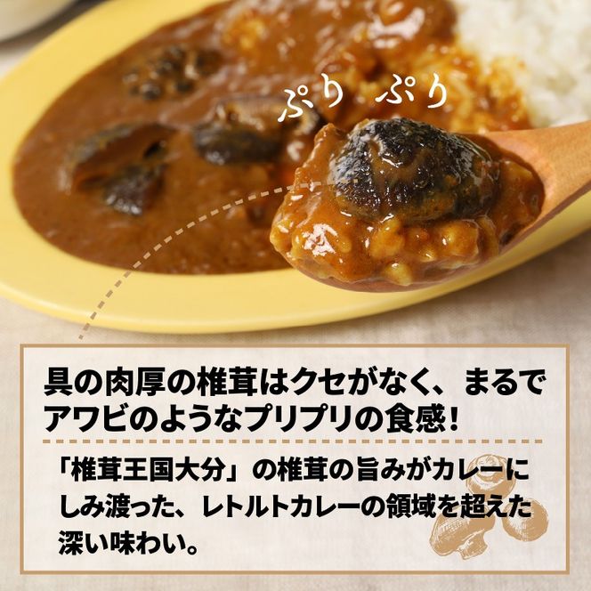 おおいたイチ押し!!豊後きのこカレー11食分_1296R