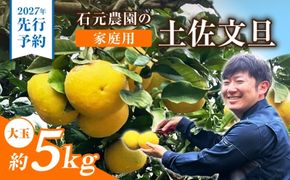 【先行予約】石元農園の土佐文旦 家庭用 大玉 約5キロ ＜2027年2月～発送＞ /  5kg 3Lサイズ 4Lサイズ 文旦 ぶんたん 柑橘 かんきつ みかん フルーツ デザート 果物 高知 【石元農園】 [BQBH005]
