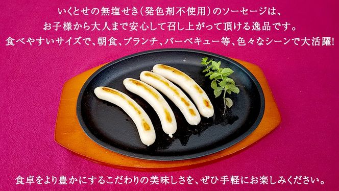 職人が作る ドイツソーセージ 細挽き セット（300g×2パック）計600g いくとせ ウインナー ハム 無添加 無塩せき 減塩 美味しい ソーセージ 国産 豚 機内食 ビジネスクラス ファーストクラス ドイツ 職人 厳選 朝食 ランチ BBQ キャンプ 肉 生活応援 小分け [DK11-NT]