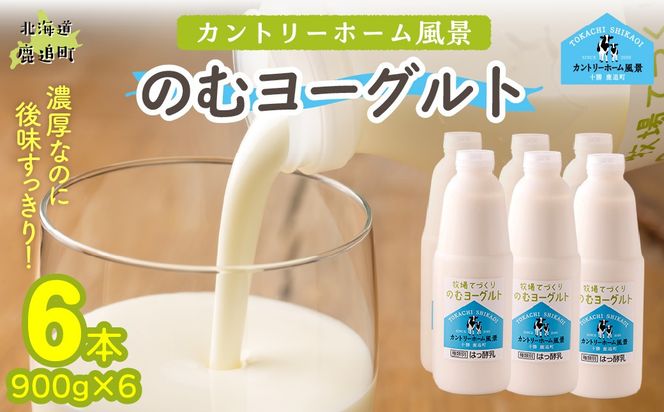 のむヨーグルト 900g ×6 SKB039