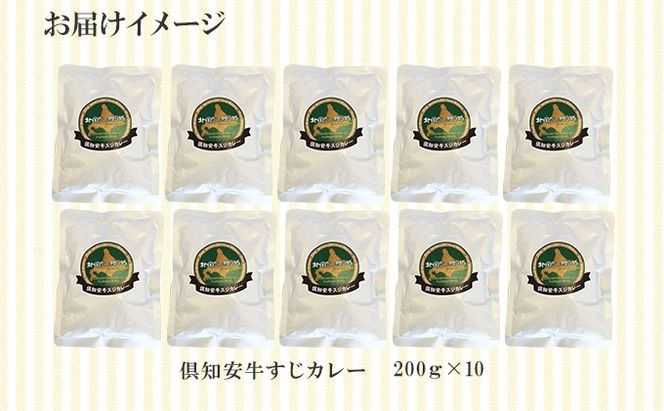 倶知安 牛すじカレー 北海道 計10個 中辛 レトルト食品 加工品 牛すじ 牛肉 野菜 じゃがいも お取り寄せ グルメ スパイシー スパイス【お肉・牛肉・加工食品】 