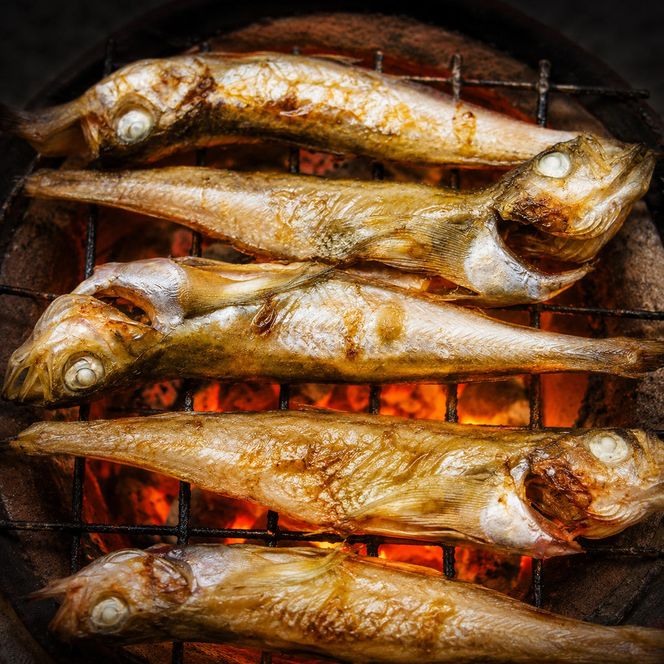 ハタハタ（大）干物 一夜干し 450g ×1箱 魚貝類  海鮮 干物 おつまみ 肴 ハタハタ 酒 myz02 myz11 myz17