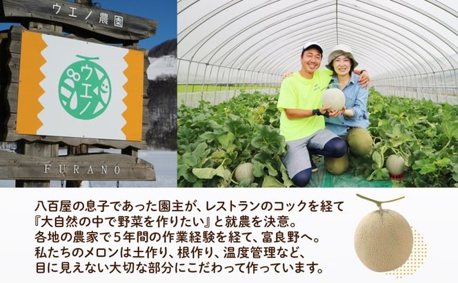 ＜2026年発送＞ふらの産 しあわせのメロン 赤肉 大玉 2玉 計4kg メロン 富良野メロン