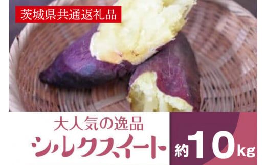 2025年度産 まるで絹のようななめらかなさつまいも シルクスイート10kg【茨城県共通返礼品/行方市】【さつまいも サツマイモ 芋 お芋 甘い なめらか 美味しい 大量 茨城県 北茨城市】(AK204)